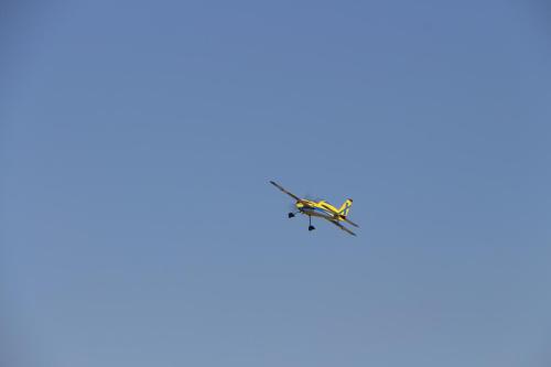 IMG 9313
